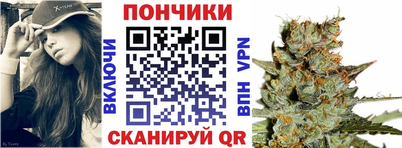 Бошки марихуана AK-47  продажа наркотиков  Пикалёво 